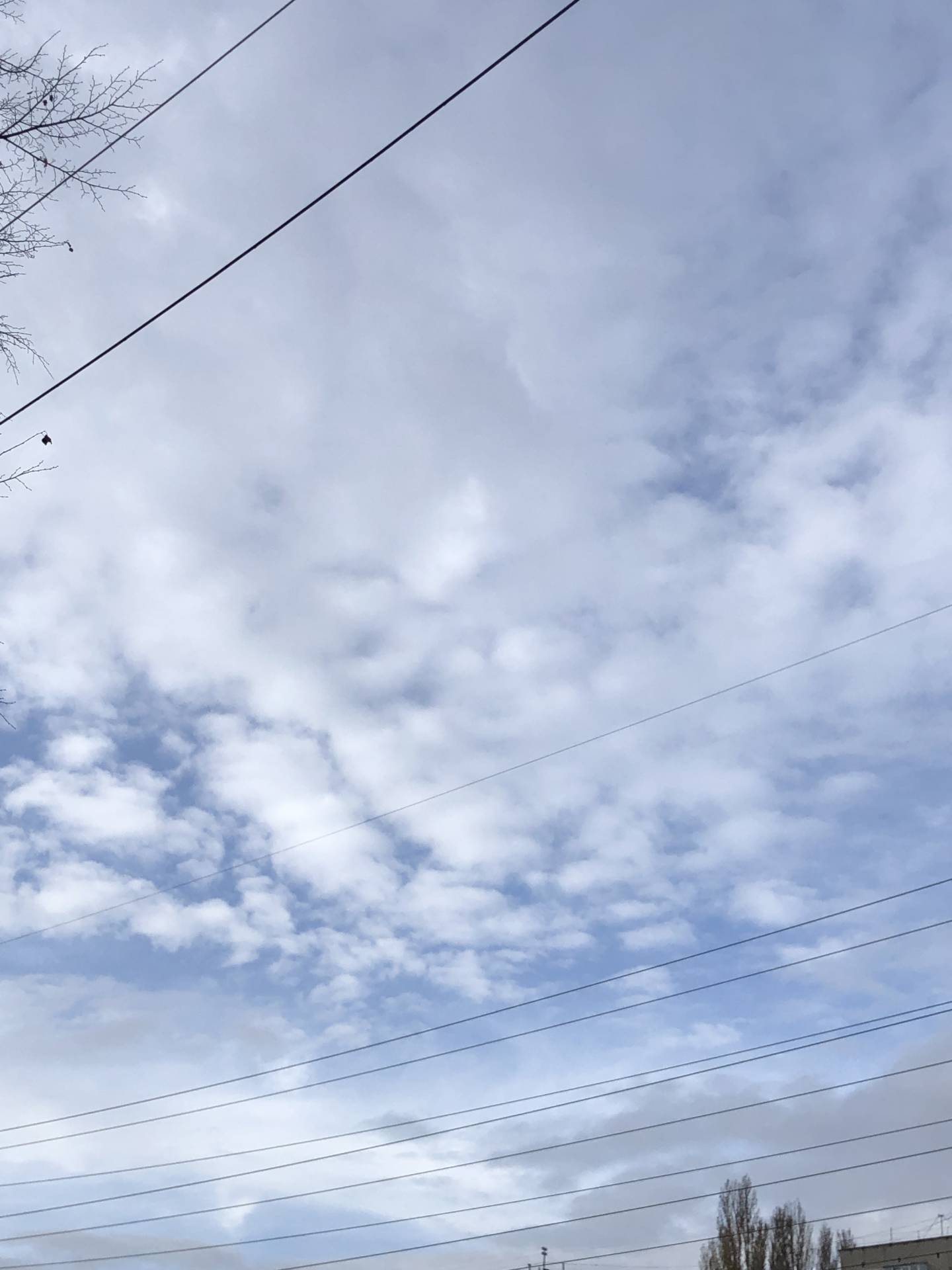 Odesa, Odesa Oblast 09:56 AM