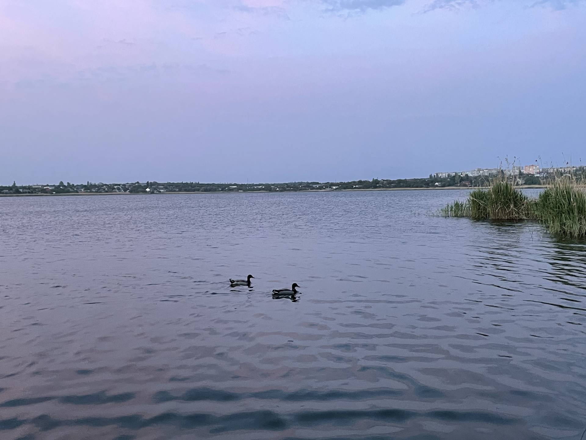 Mykolaiv, Mykolaiv Oblast